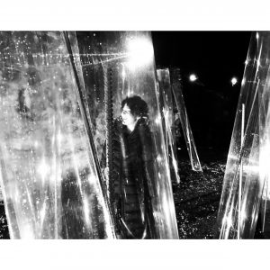 Irene Russo, installazione In Natural, 2018