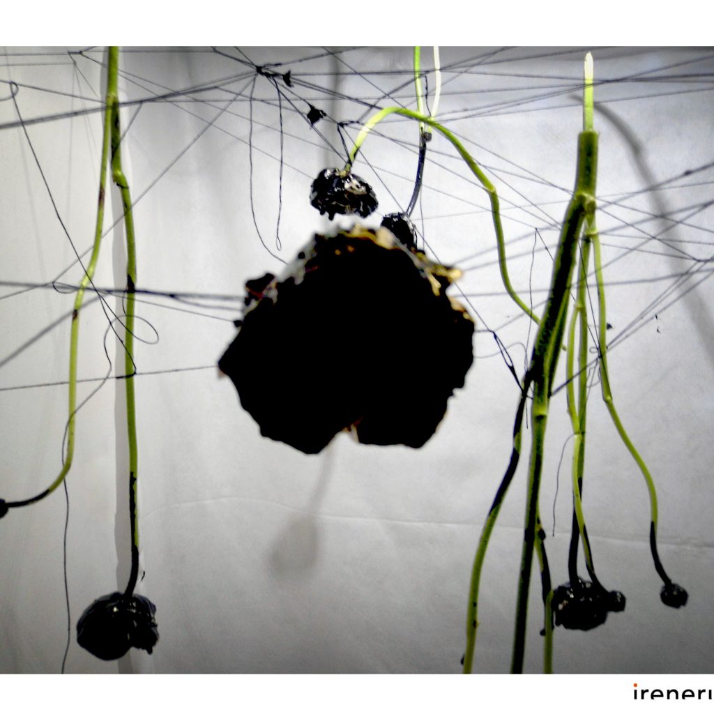 blodd_1, Irene Russo