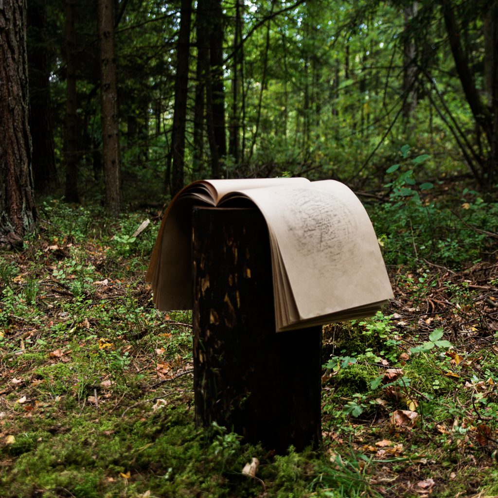 Fotografia dell’installazione Black Memories di Irene Russo, collocata in una radura di foresta. In primo piano si vede un tronco bruciato su cui è poggiato un grande libro di carta artigianale aperto, con impresse le tracce circolari di un albero. Intorno, una fitta vegetazione verde e alberi alti che filtrano la luce naturale. L’opera appare in dialogo silenzioso con l’ambiente circostante, evocando la memoria di un bosco scomparso.
